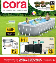 Cora