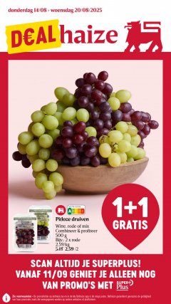 Delhaize